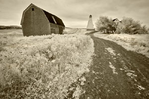 Natural Light Photography
