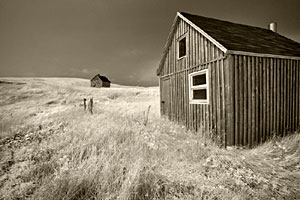 Natural Light Photography
