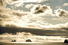 Natural Light Photography