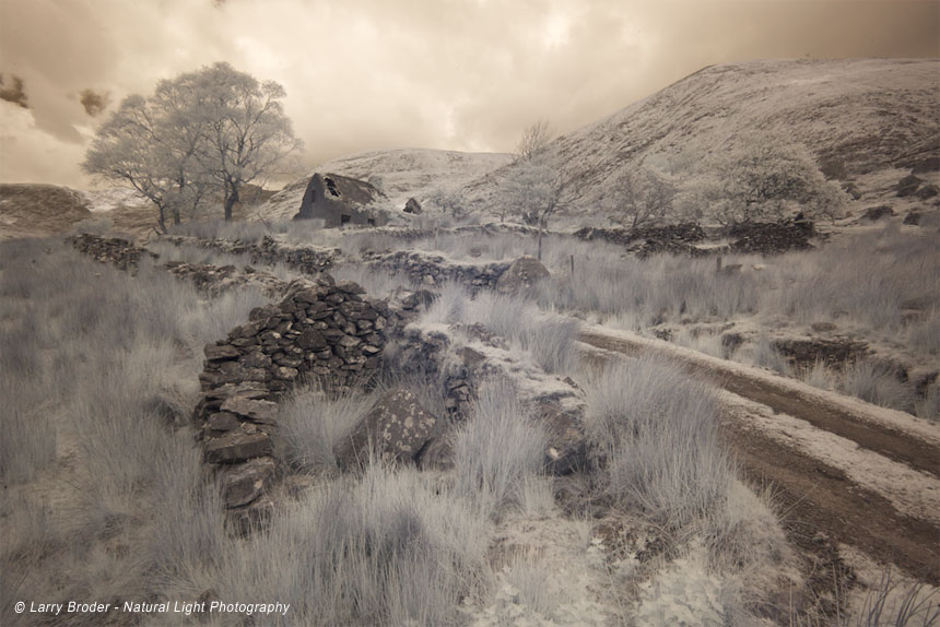 Natural Light Photography: Larry Broder, Photographer