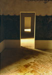 Natural Light Photography