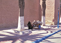 Click on a photo to view an enlargement