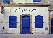 Blue Doors