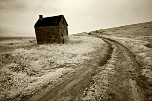 Natural Light Photography