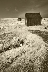 Natural Light Photography