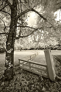 Natural Light Photography