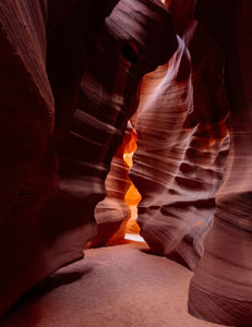 Natural Light Photography